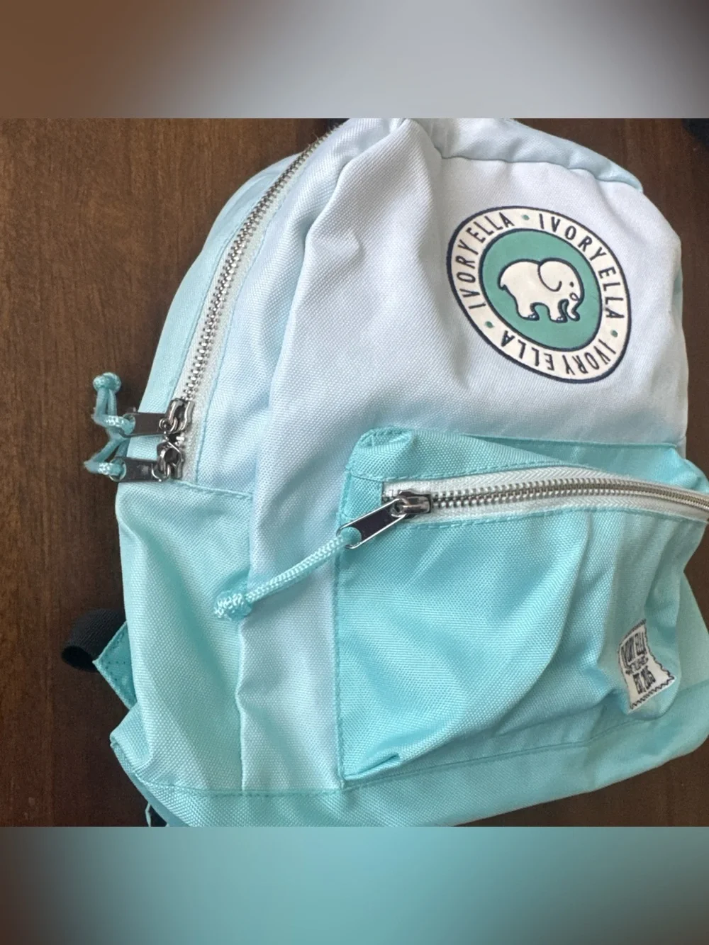 Ivory Ella Turquoise Blue Ombre Mini Backpack 12